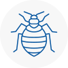 Bed Bug Extermination In Renfrewshire